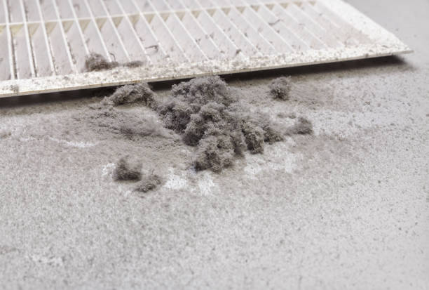 Best Professional Duct Cleaning Services  in Bermuda Run, NC